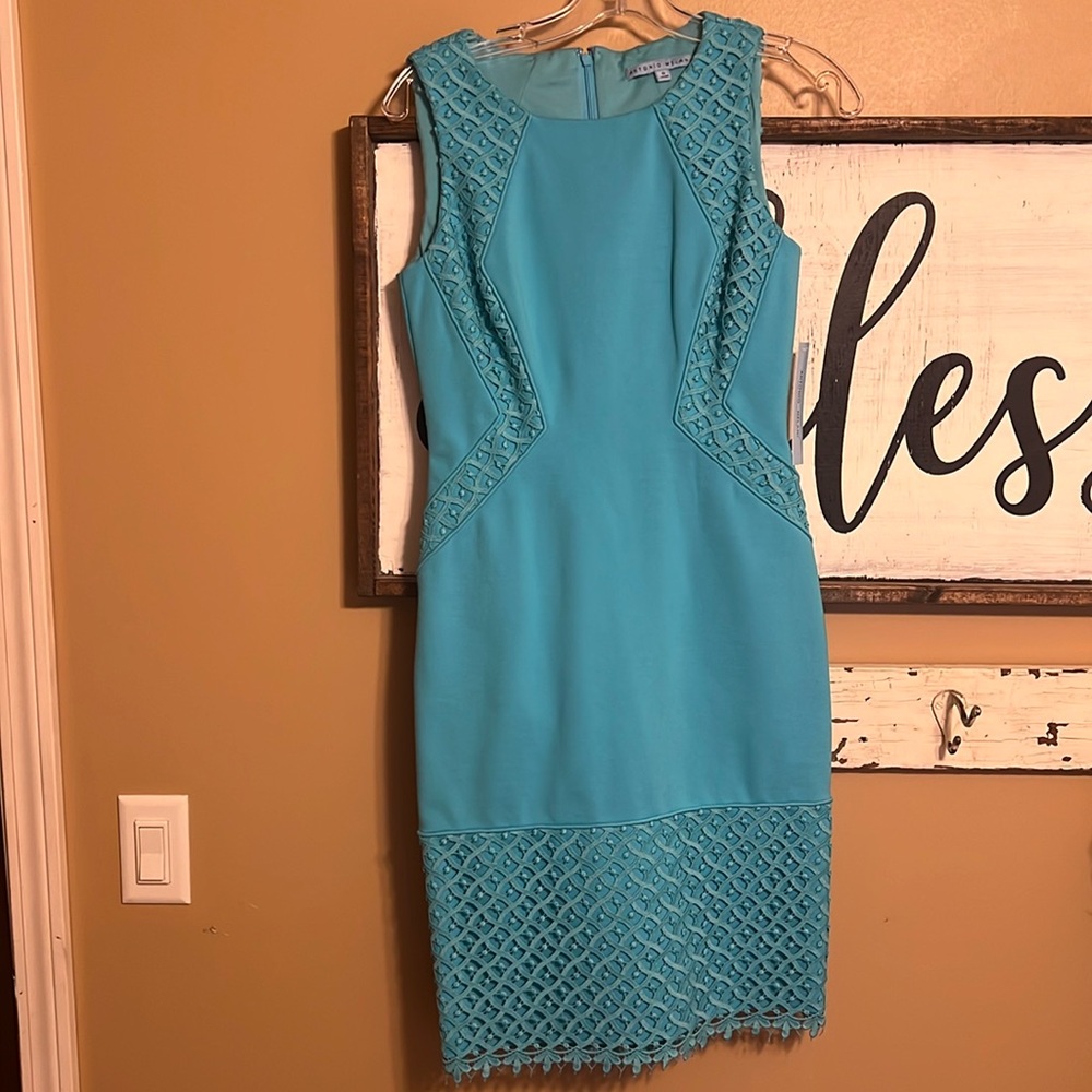 Antonio Melani Dress with beautiful details
